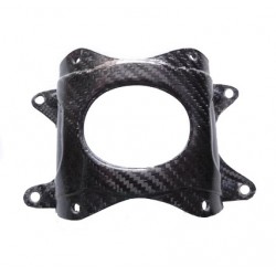 Piastrina Parafango Ant CARBONIO FANTIC 240